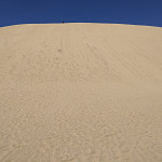 Thumbnail Photo for the North Island Gallery.